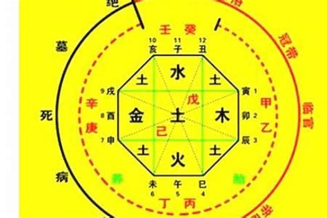 甲辰年八字|生辰八字算命、五行喜用神查詢（免費測算）